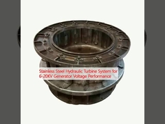 6-20KVの発電機の電圧性能のためのステンレス鉄液体タービンシステム