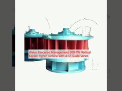 水資源管理 4-12 ガイドバンの 300 KW 垂直カプラン水力タービン