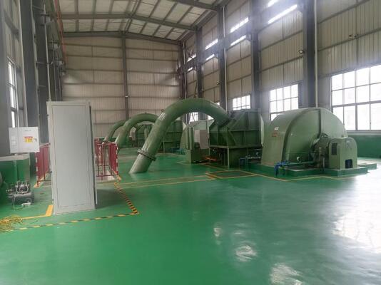 多シナリオ ブラシレス刺激と銅コアケーブル付き オーダーメイド水力タービン発電機