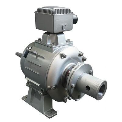 50kW～20MW容量、400V～6300V電圧範囲の小規模水力発電プロジェクト向けマイクロ水力タービン