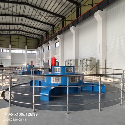 比類のない信頼性を備えた、中～高落差向けカスタム垂直フランシス水車