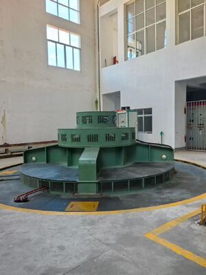 比類のない信頼性を備えた、中～高落差向けカスタム垂直フランシス水車