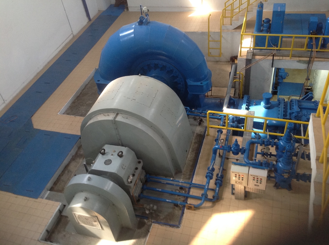耐久性のある興奮システム 50HZの定数周波数と 100Vの入力交流電圧
