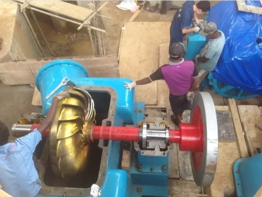 マイクロ ミニ 小水 フランシス・ペルトン ターゴ・カプラン 水力発電機 恒久磁石発電機